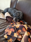 Gracie Mae laying on Between the Lines CD covers